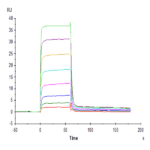 Human PVRIG Protein (PVR-HM301)