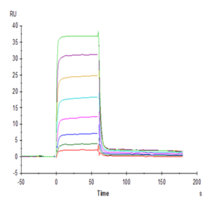 Human PVRIG Protein (PVR-HM301)
