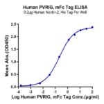 Human PVRIG Protein (PVR-HM301)