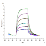 Biotinylated Mouse PVRIG Protein (PVR-MM501B)