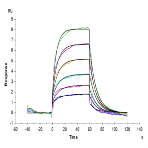 Biotinylated Mouse PVRIG Protein (PVR-MM501B)