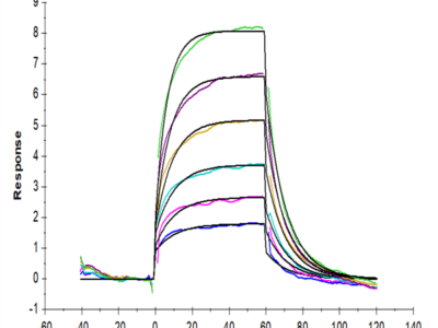 Biotinylated Mouse PVRIG Protein (PVR-MM501B)