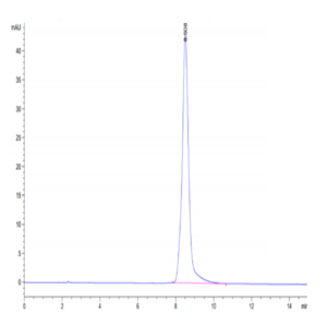 Mouse AGER Protein (RAG-MM10E)