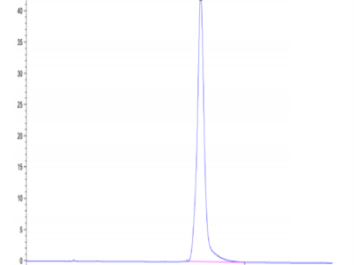 Mouse AGER Protein (RAG-MM10E)