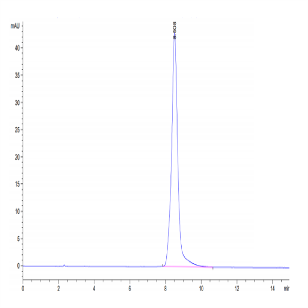 Mouse AGER Protein (RAG-MM10E)