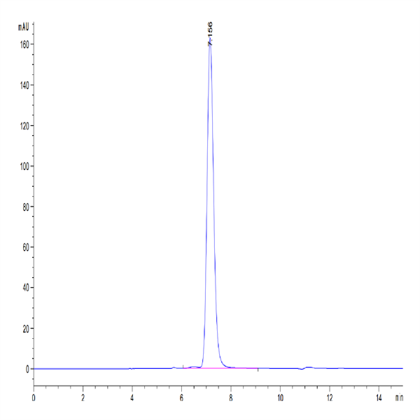 Human RETN Protein (RET-HM201) Human RETN Protein (RET-HM201)
