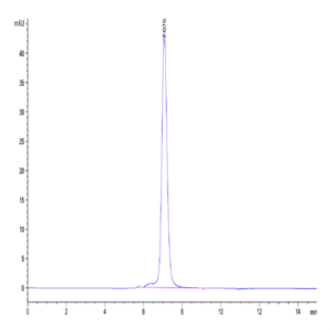 Mouse RETN Protein (RET-MM201)