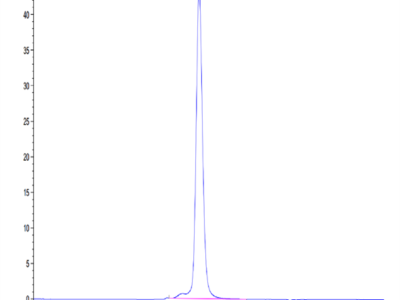 Mouse RETN Protein (RET-MM201)