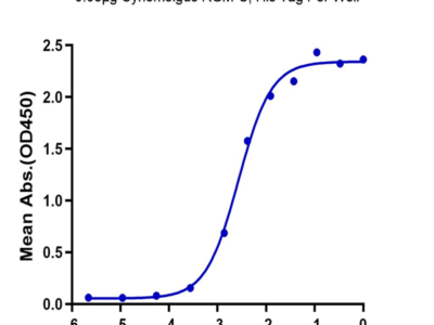 Cynomolgus RGM-C Protein (RGM-CM10C)