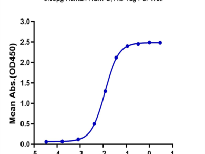 Human RGM-C Protein (RGM-HM10C)