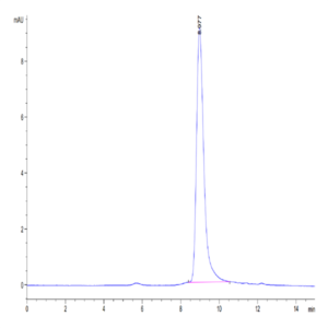 Human RGM-C Protein (RGM-HM10C)