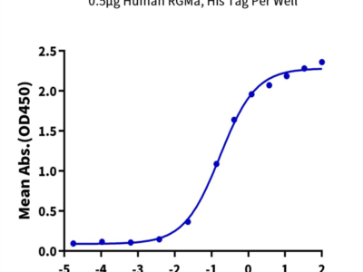 Human RGMa Protein (RGM-HM401)