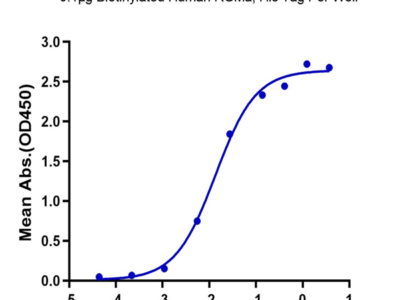 Biotinylated Human RGMa Protein (RGM-HM401B)