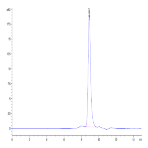Mouse RGM-C Protein (RGM-MM10C)