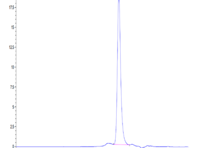 Mouse RGM-C Protein (RGM-MM10C)