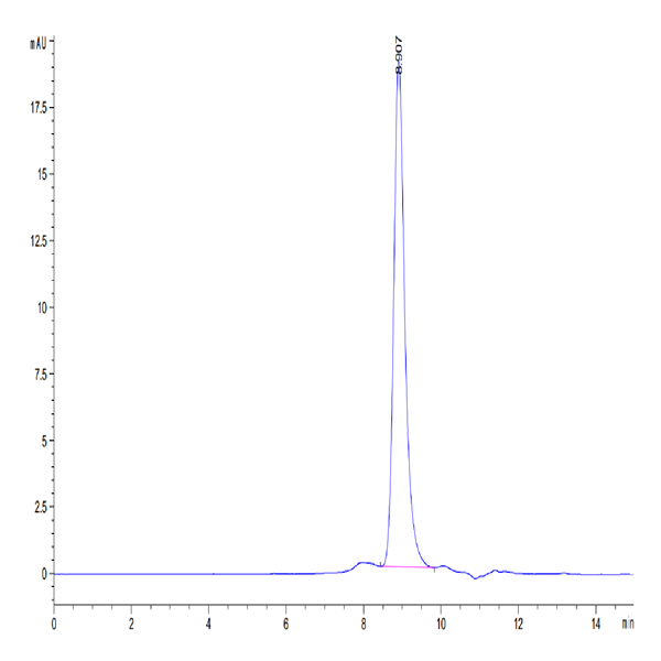 Mouse RGM-C Protein (RGM-MM10C) Mouse RGM-C Protein (RGM-MM10C)