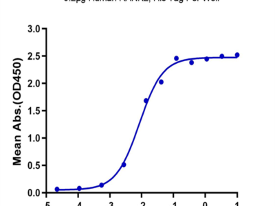 Human RANKL/TNFSF11/CD254 Protein (RKL-HM101)