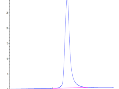 Mouse RANKL/TNFSF11/CD254 Protein (RKL-MM101)