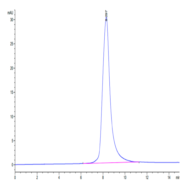 Mouse RANKL/TNFSF11/CD254 Protein (RKL-MM101)