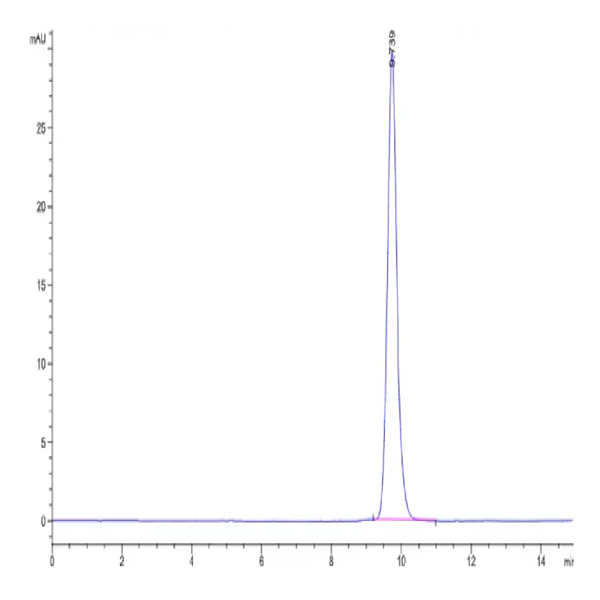Human RNF43 Protein (RNF-HM143)