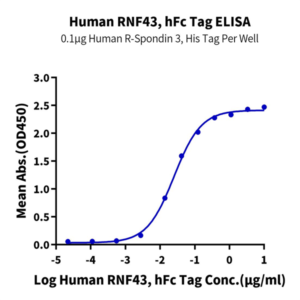 Human RNF43 Protein (RNF-HM234)