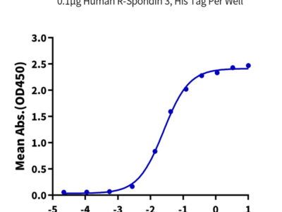 Human RNF43 Protein (RNF-HM234)
