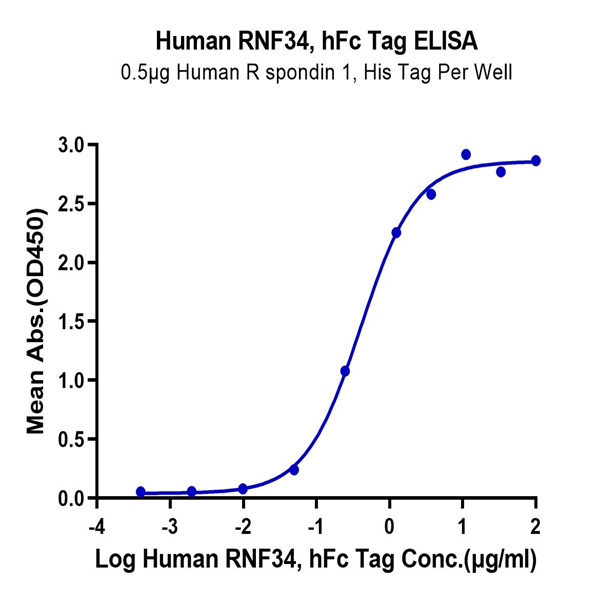 Human RNF43 Protein (RNF-HM234)
