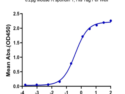 Mouse RNF43 Protein (RNF-MM234)