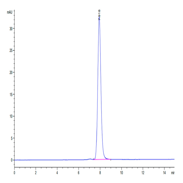 Mouse RNF43 Protein (RNF-MM234)