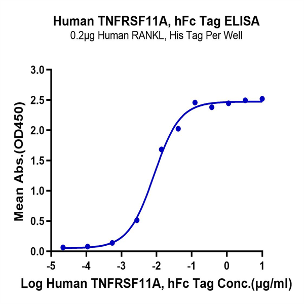 Human TNFRSF11A/Rank Protein (RNK-HM211) Human TNFRSF11A/Rank Protein (RNK-HM211)