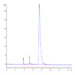 Human TNFRSF11A/Rank Protein (RNK-HM211)