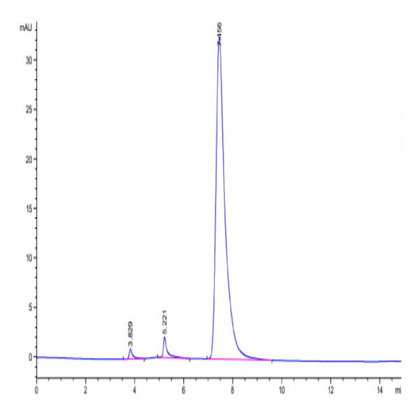 Human TNFRSF11A/Rank Protein (RNK-HM211)
