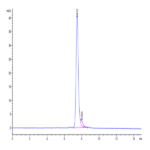 Mouse TNFRSF11A/Rank Protein (RNK-MM211)