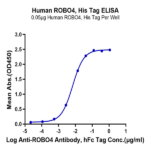 Human ROBO4 Protein (ROB-HM104)
