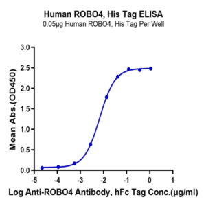 Human ROBO4 Protein (ROB-HM104)