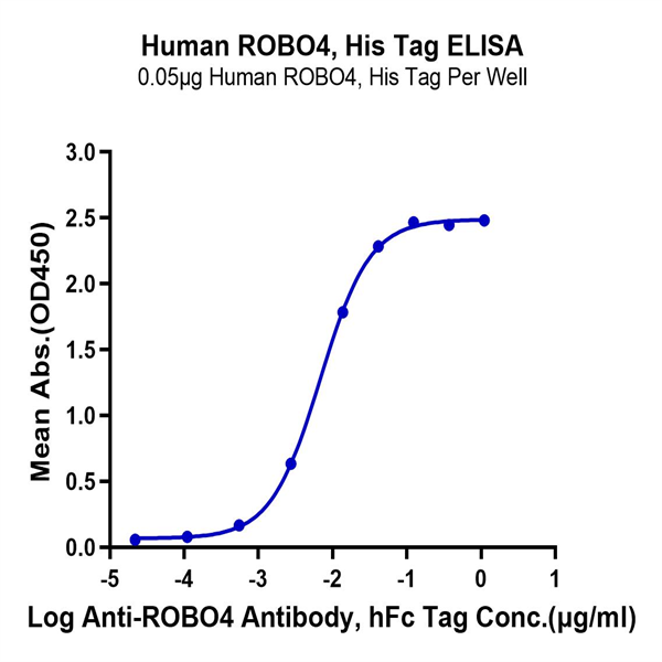 Human ROBO4 Protein (ROB-HM104)