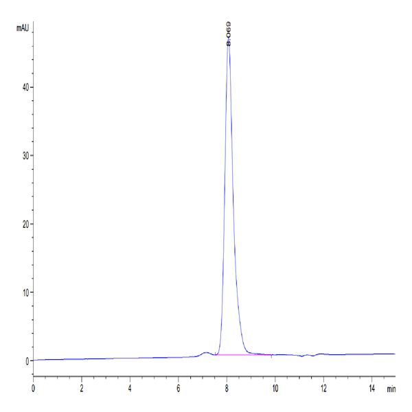 Human ROBO4 Protein (ROB-HM104)