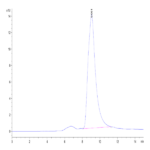 Mouse ROBO4 Protein (ROB-MM104)