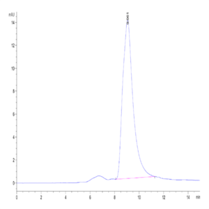 Mouse ROBO4 Protein (ROB-MM104)