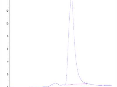 Mouse ROBO4 Protein (ROB-MM104)