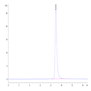 Cynomolgus ROR2/NTRKR2 Protein (ROR-CM102)