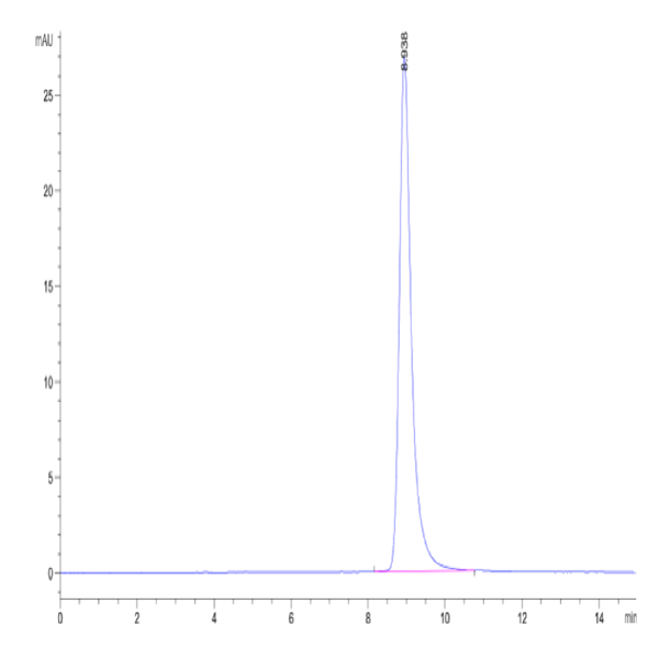 Cynomolgus ROR2/NTRKR2 Protein (ROR-CM102)