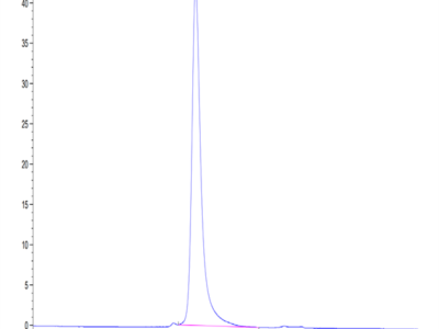 Canine ROR1 Protein (ROR-DM101)