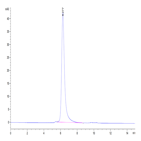 Canine ROR1 Protein (ROR-DM101)