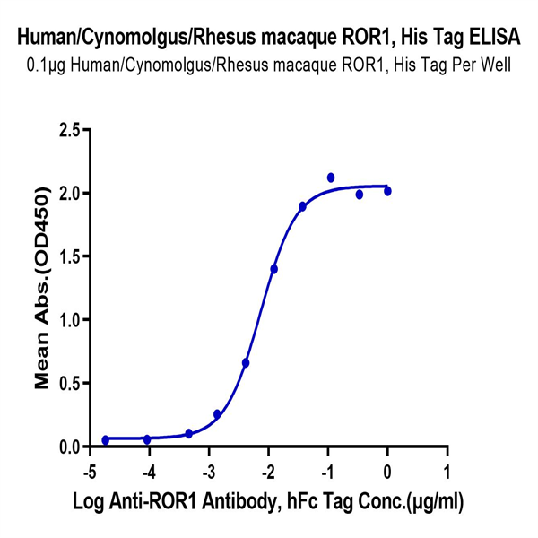 Human/Cynomolgus/Rhesus macaque ROR1 (39-151 Human/Cynomolgus/Rhesus macaque ROR1 (39-151