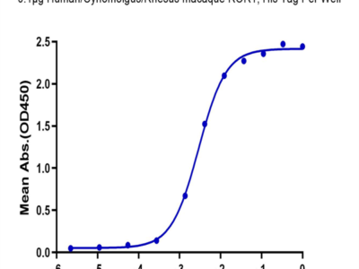 Human/Cynomolgus/Rhesus macaque ROR1 (30-305,Ig-like&Frizzled Domain) Protein (ROR-HM1IF)