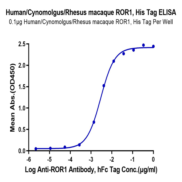 Human/Cynomolgus/Rhesus macaque ROR1 (30-305,Ig-like&Frizzled Domain) Protein (ROR-HM1IF) Human/Cynomolgus/Rhesus macaque ROR1 (30-305,Ig-like&Frizzled Domain) Protein (ROR-HM1IF)