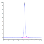 Human/Cynomolgus/Rhesus macaque ROR1 (30-305,Ig-like&Frizzled Domain) Protein (ROR-HM1IF)