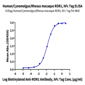 Human/Cynomolgus/Rhesus macaque ROR1 Protein (ROR-HM201)