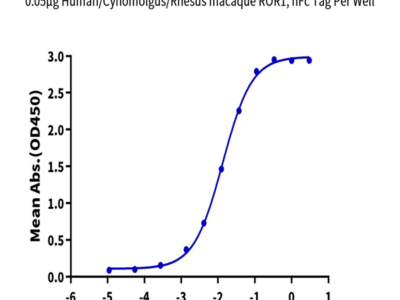 Human/Cynomolgus/Rhesus macaque ROR1 Protein (ROR-HM201)